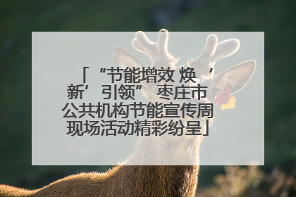 “节能增效 焕‘新’引领” 枣庄市公共机构节能宣传周现场活动精彩纷呈