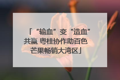 “输血”变“造血”共赢 粤桂协作助百色芒果畅销大湾区