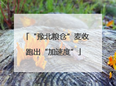 “豫北粮仓”麦收跑出“加速度”