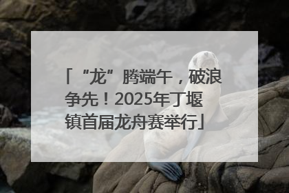 “龙”腾端午，破浪争先！2025年丁堰镇首届龙舟赛举行