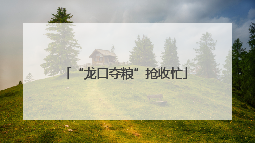 “龙口夺粮”抢收忙
