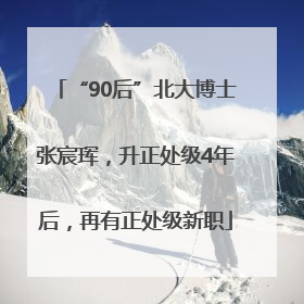 “90后”北大博士张宸珲，升正处级4年后，再有正处级新职