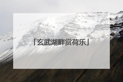 玄武湖畔赏荷乐