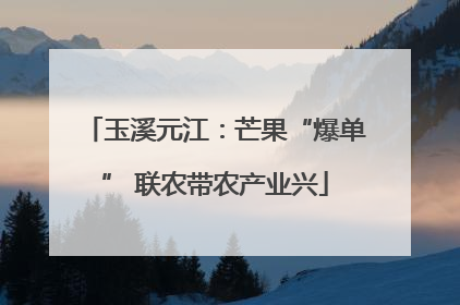 玉溪元江：芒果“爆单” 联农带农产业兴