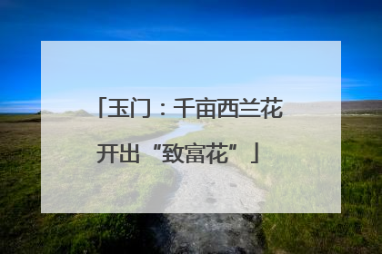玉门：千亩西兰花开出“致富花”