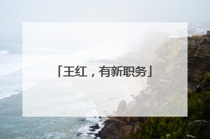 王红，有新职务