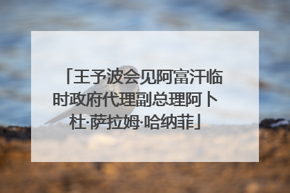 王予波会见阿富汗临时政府代理副总理阿卜杜·萨拉姆·哈纳菲