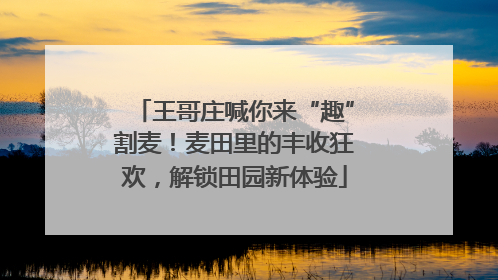 王哥庄喊你来“趣”割麦！麦田里的丰收狂欢，解锁田园新体验