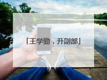 王学勤，升副部