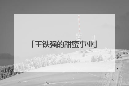 王铁强的甜蜜事业