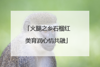 火腿之乡石榴红 美育润心情共融