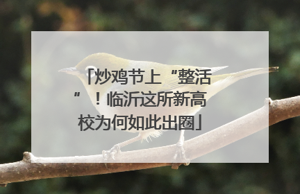 炒鸡节上“整活”！临沂这所新高校为何如此出圈