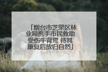 烟台市芝罘区林业局携手市民救助受伤牛背鹭 待其康复后放归自然