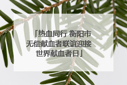 热血同行 衡阳市无偿献血者联谊迎接世界献血者日