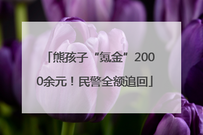 熊孩子“氪金”2000余元！民警全额追回