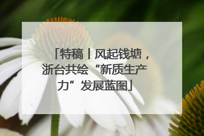特稿丨风起钱塘，浙台共绘“新质生产力”发展蓝图