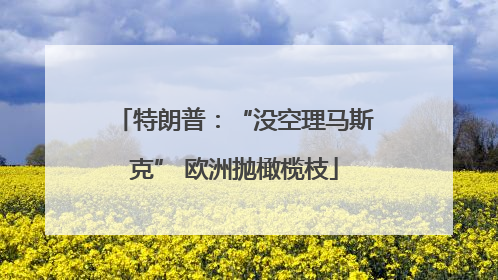 特朗普：“没空理马斯克” 欧洲抛橄榄枝
