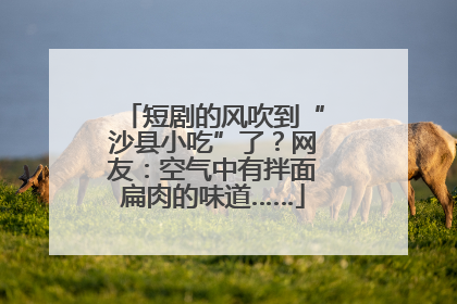 短剧的风吹到“沙县小吃”了？网友：空气中有拌面扁肉的味道……