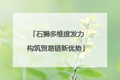 石狮多维度发力 构筑贸易链新优势