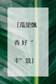 瓜果飘香 好“丰”景