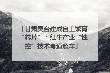 甘肃灵台建成自主繁育“芯片”：红牛产业“性控”技术弯道超车