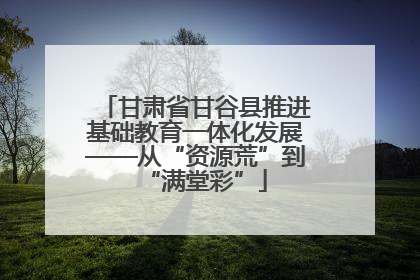 甘肃省甘谷县推进基础教育一体化发展——从“资源荒”到“满堂彩”