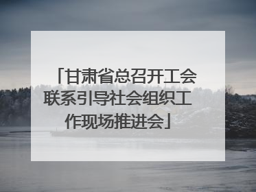 甘肃省总召开工会联系引导社会组织工作现场推进会