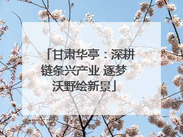 甘肃华亭：深耕链条兴产业 逐梦沃野绘新景