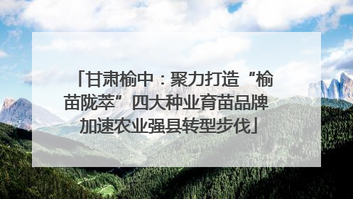 甘肃榆中：聚力打造“榆苗陇萃”四大种业育苗品牌 加速农业强县转型步伐