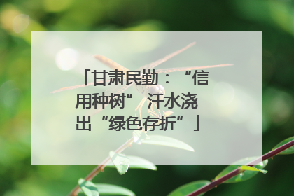 甘肃民勤：“信用种树” 汗水浇出“绿色存折”