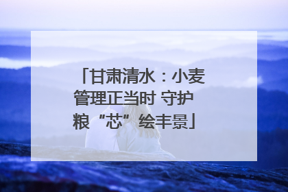 甘肃清水：小麦管理正当时 守护粮“芯”绘丰景