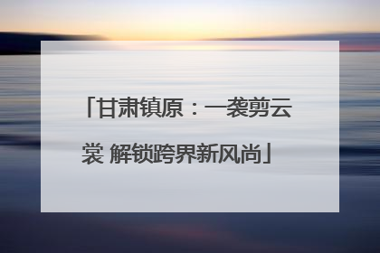 甘肃镇原：一袭剪云裳 解锁跨界新风尚