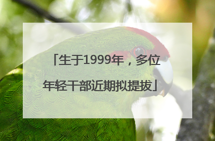 生于1999年，多位年轻干部近期拟提拔