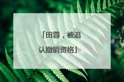 田蓉，被追认撤销资格