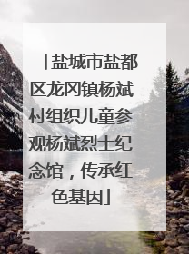 盐城市盐都区龙冈镇杨斌村组织儿童参观杨斌烈士纪念馆，传承红色基因