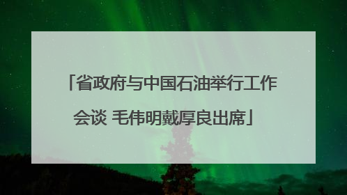省政府与中国石油举行工作会谈 毛伟明戴厚良出席