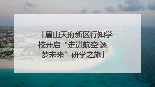 眉山天府新区行知学校开启“走进航空·逐梦未来”研学之旅