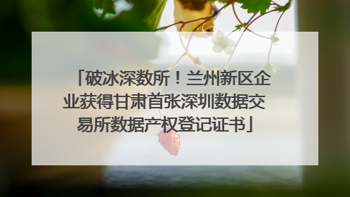 破冰深数所！兰州新区企业获得甘肃首张深圳数据交易所数据产权登记证书