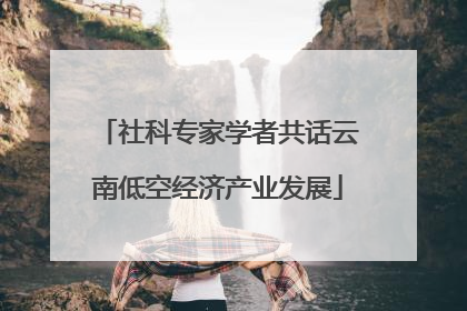 社科专家学者共话云南低空经济产业发展
