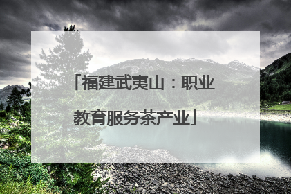 福建武夷山：职业教育服务茶产业