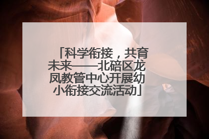 科学衔接，共育未来——北碚区龙凤教管中心开展幼小衔接交流活动