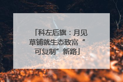 科左后旗：月见草铺就生态致富“可复制”新路