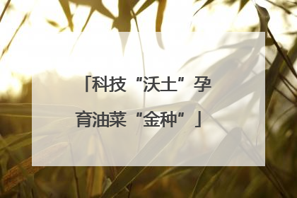 科技“沃土”孕育油菜“金种”