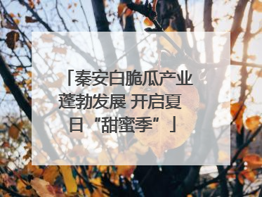 秦安白脆瓜产业蓬勃发展 开启夏日“甜蜜季”