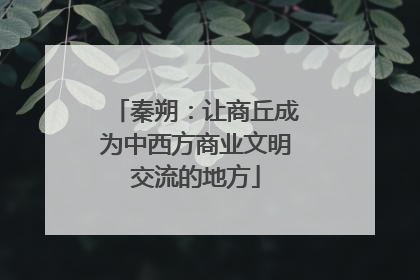秦朔：让商丘成为中西方商业文明交流的地方