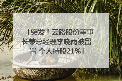 突发！云路股份董事长兼总经理李晓雨被留置 个人持股21%