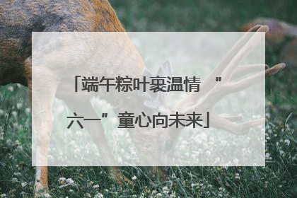 端午粽叶裹温情 “六一”童心向未来