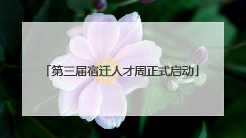 第三届宿迁人才周正式启动