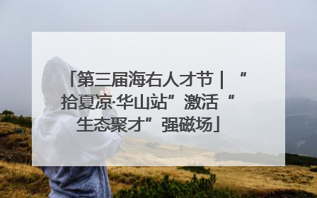 第三届海右人才节｜“拾夏凉·华山站”激活“生态聚才”强磁场