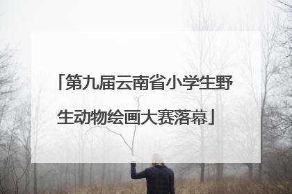 第九届云南省小学生野生动物绘画大赛落幕